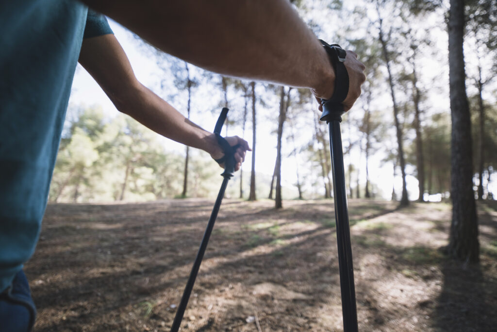 MT Falcon Colorado Do I Need A Hiking Sticks