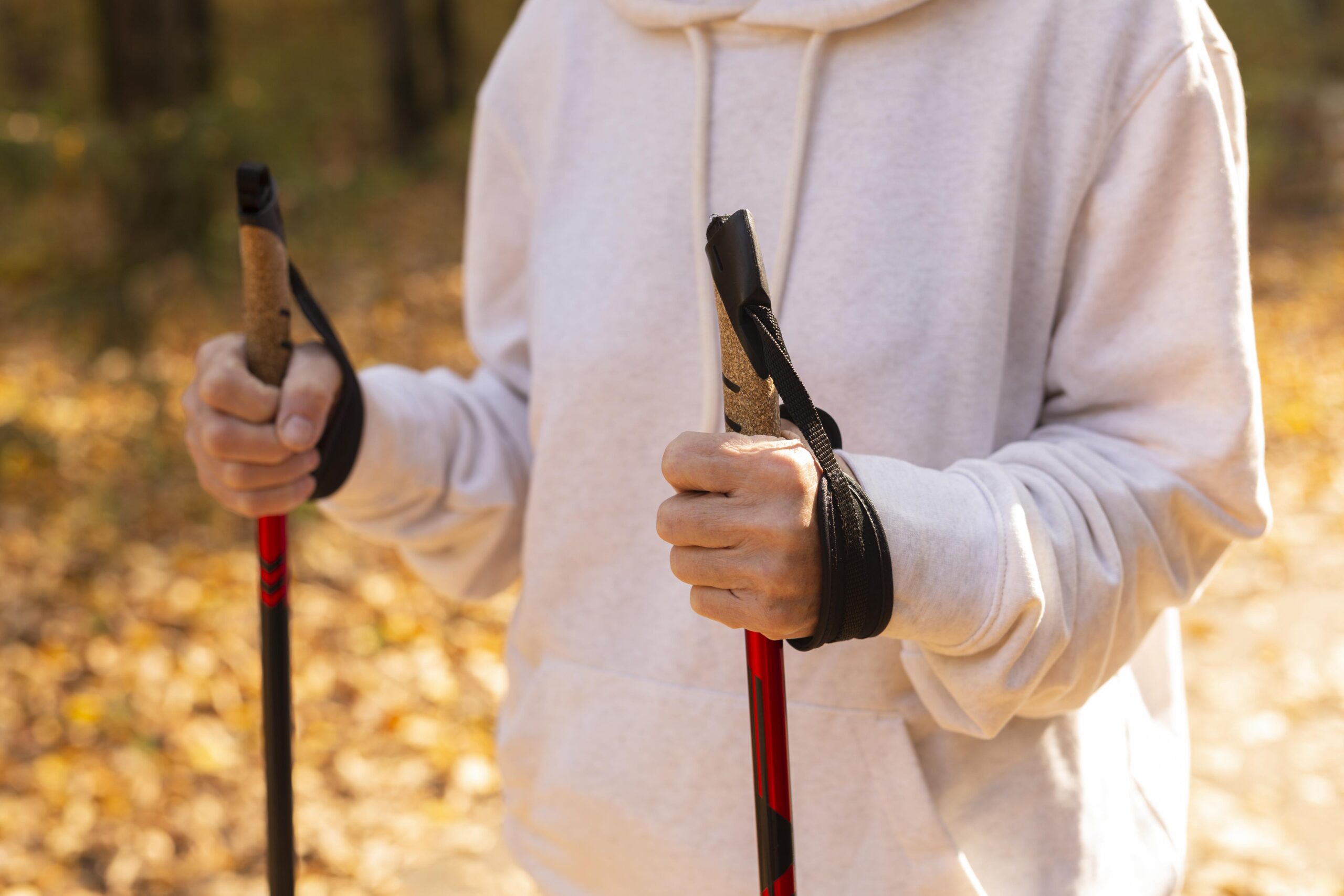 tactical hiking stick